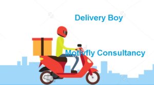 Delivery Jobs In Mandi