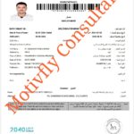 Balwant Work permit Dubai - White Ocean Security