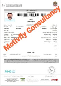 Vinkal - Dubai Employment Visa - Transgaurd Group Visa - Work permit Visa Dubai