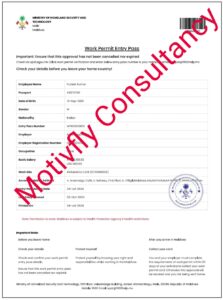 Puneet work permit Maldives - Cook Watermark