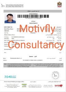 Surrender – Dubai Work permit Visa – Transguard Group LLC, Employment visa Dubai- Transguard Group Visa